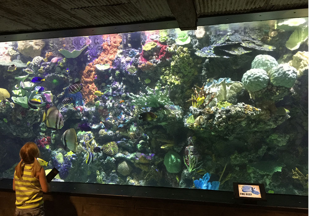 fort-wayne-children-s-zoo-the-hagerman-group